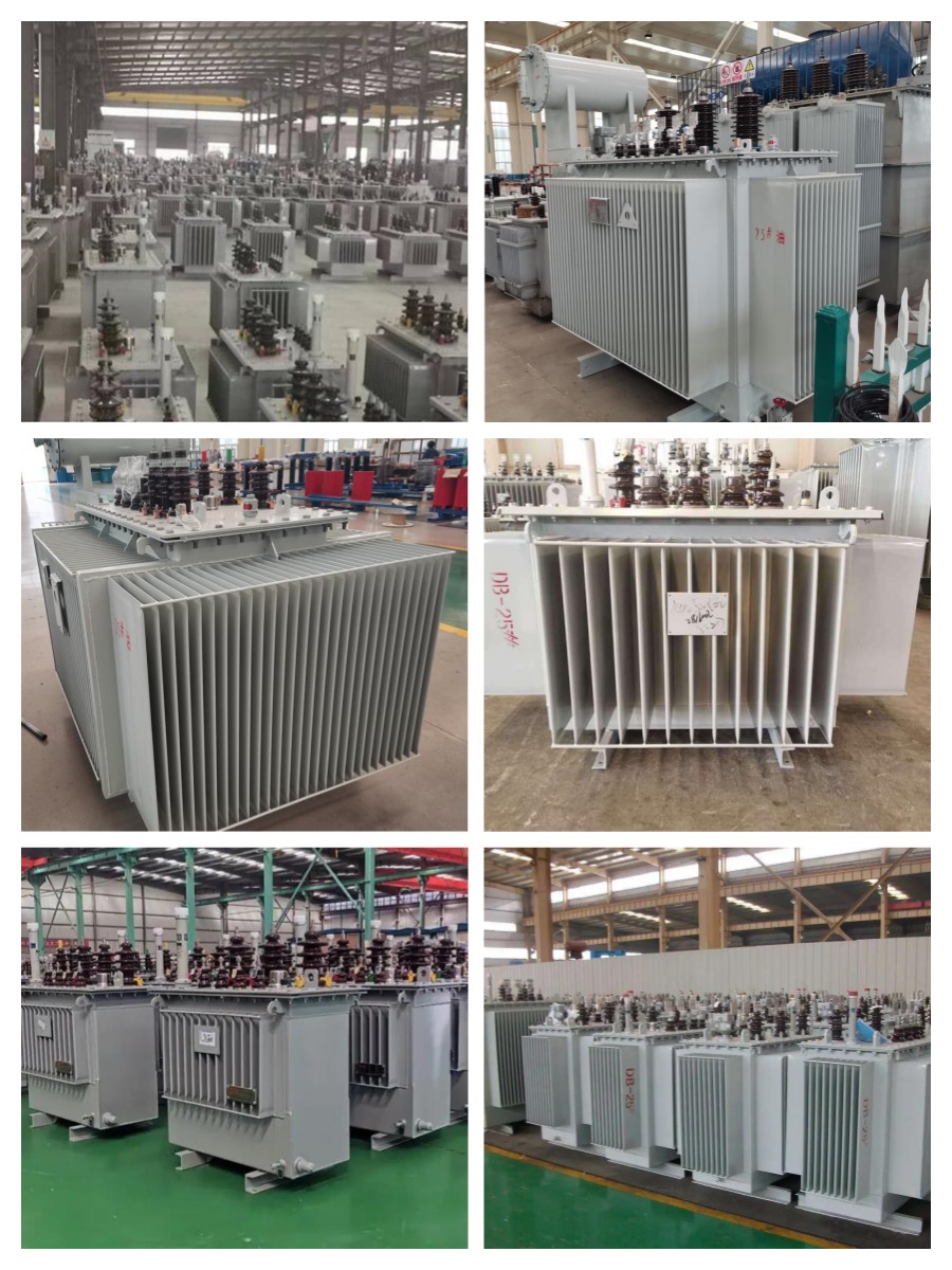 Customized Various Models