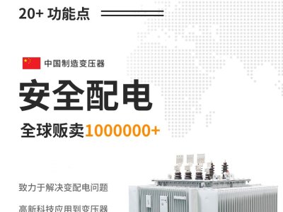 Oil-immersed power transformer