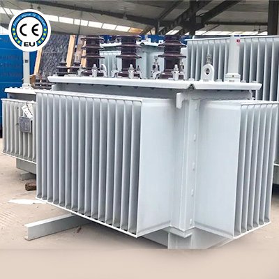 Oil-immersed distribution transformer