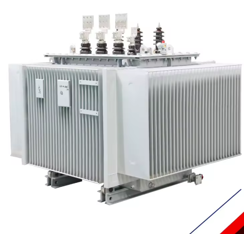 Oil Immersed Electric Transformer 110kva