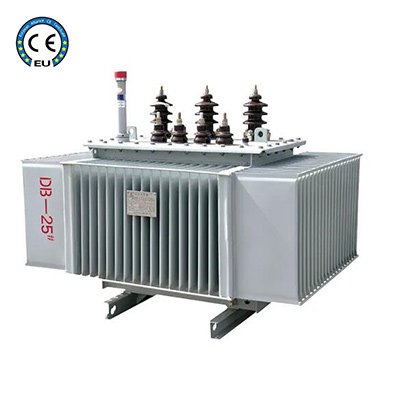 Oil-immersed power transformer