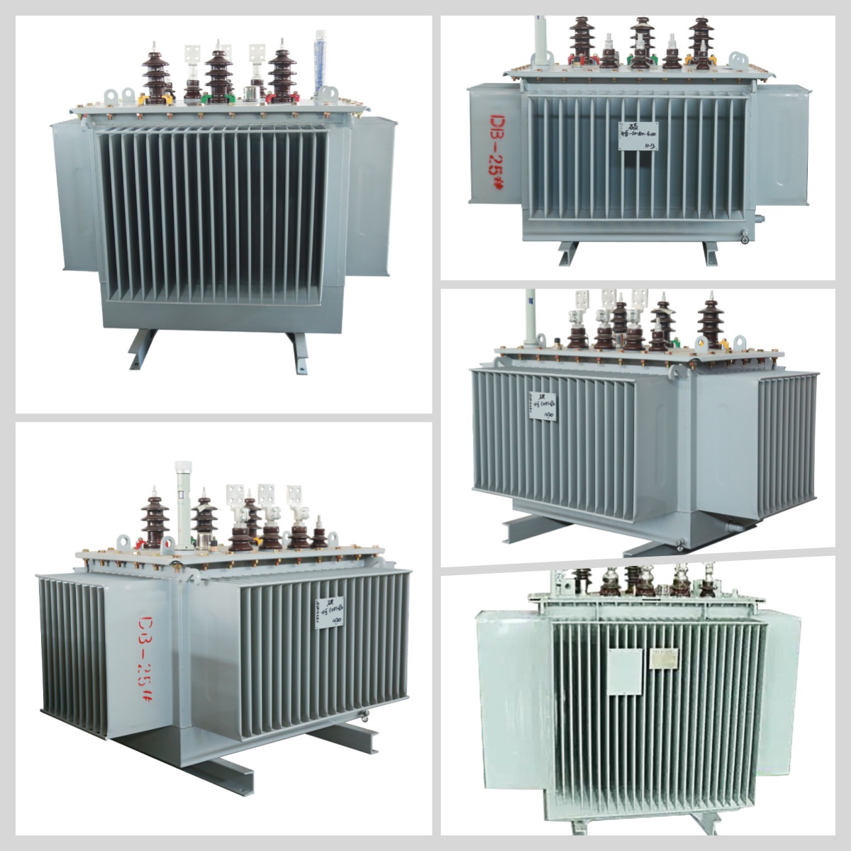 Customized Various Models