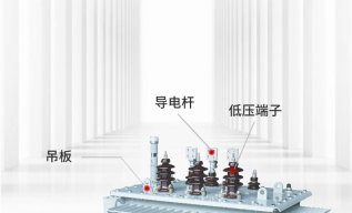 Oil-immersed transformer